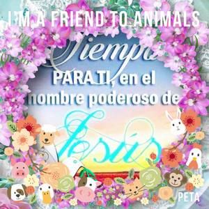 Meet your Posher, Marlen